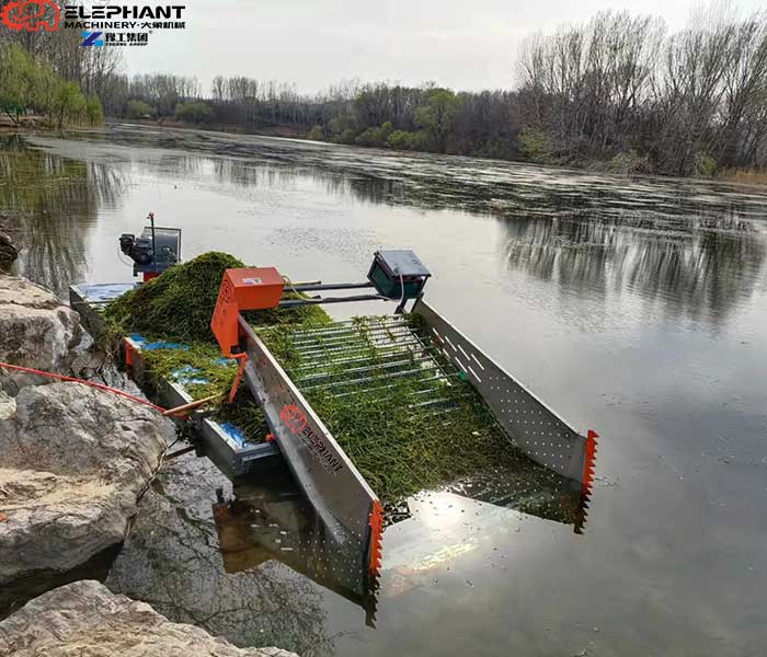 hydrilla removal boat for aquatic plant control
