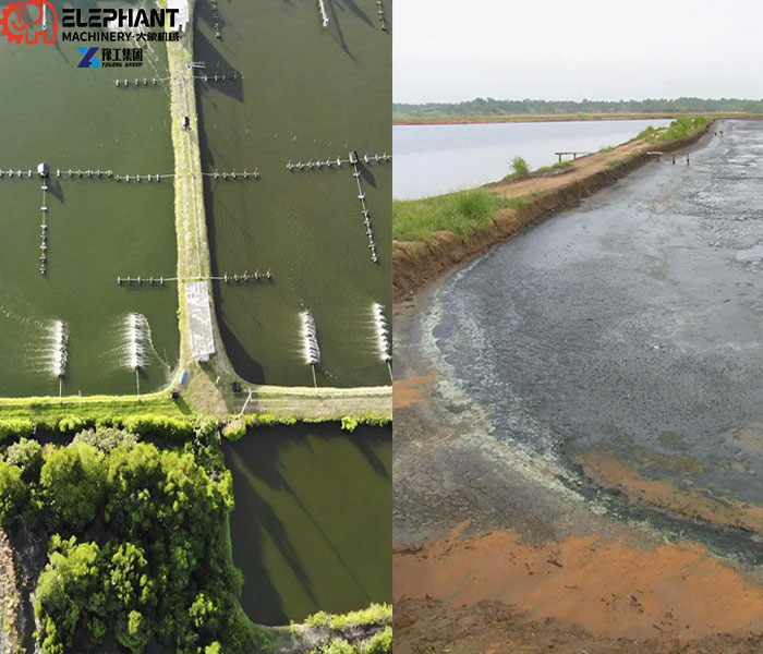 shrimp farm dredging