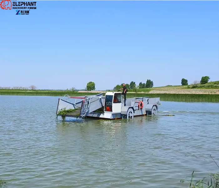 weed harvester boat cutting and removing aquatic plants