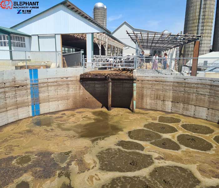 dairy farm manure storage tank for sludge cleaning