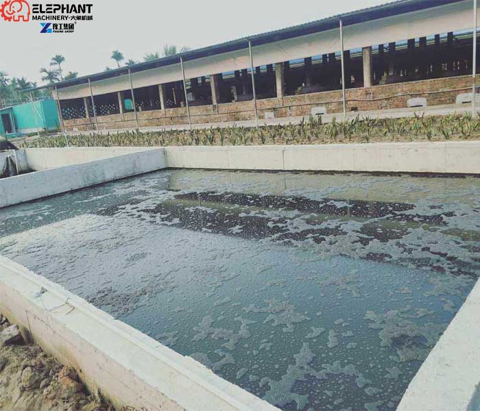 livestock wastewater pond with accumulated sludge and organic sediment