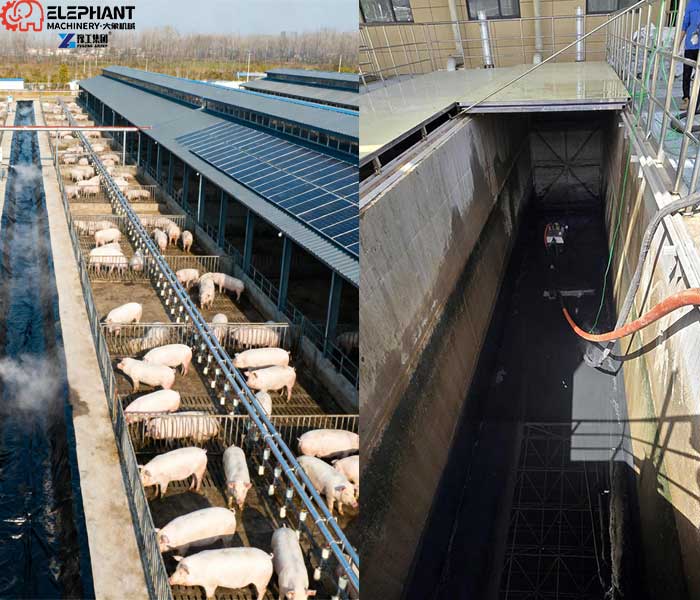 pig farm wastewater pond sludge removal solution